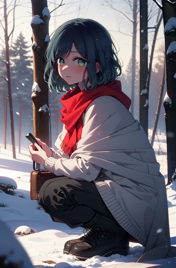 akanekurokawa, akane kurokawa, bangs, (Green Eyes:1.3), Blue Hair, Medium Hair, dark Blue Hair,smile,blush,White Breath,
Open your mouth,snow,Ground bonfire, Outdoor, boots, snowing, From the side, wood, suitcase, Cape, Blurred, , forest, White handbag, nature,  Squat, Mouth closed, Cape, winter, Written boundary depth, Black shoes, red Cape break looking at viewer, Upper Body, whole body, break Outdoor, forest, nature, break (masterpiece:1.2), Highest quality, High resolution, unity 8k wallpaper, (shape:0.8), (Beautiful and beautiful eyes:1.6), Highly detailed face, Perfect lighting, Extremely detailed CG, (Perfect hands, Perfect Anatomy),