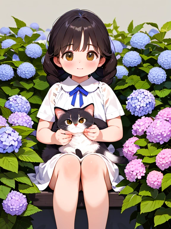 (Highest quality，4K，8K，High resolution，masterpiece:1.2), Very detailed, (Deformed, Realistic, Realistic:1.3)，One Girl，cute，Very short stature，，Have fun and laugh, Brown eyes，length, fluffy, Black hair braids，White Dress，Hugging multiple cats，Cats are much bigger than girls..，The cat is a Russian blue...，その猫はfluffy，Summer background is the garden of a country house，Hydrangea flowers，Clothes that are transparent due to sweat，