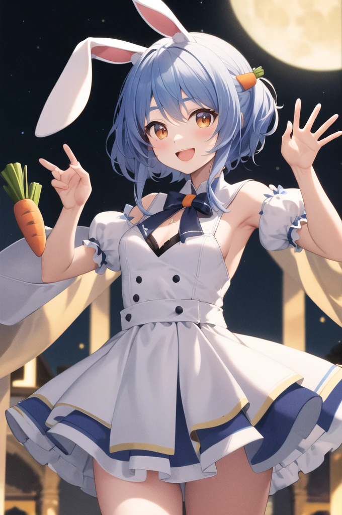 masterpiece、Highest quality、High resolution、One person、Center of chest、Cowboy Shot、smile、Open your mouth、Night Sky、There is a moon、Idol Dress、Juliet Sleeve、Short sleeve、mini skirt、wave hands、Bunny ears、Hair carrot、refer to５Book、Exact number of arms、