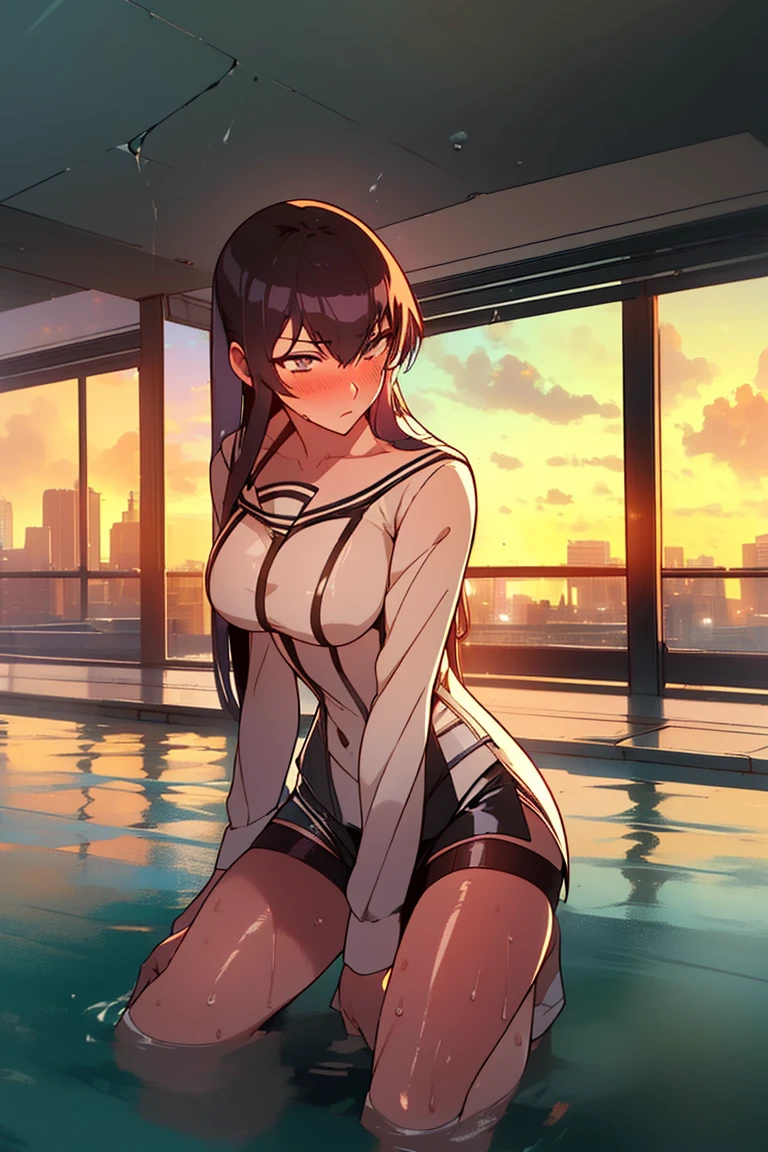 (The best quality,4k,High Resolutions),(realist:1.37),Shy and blushing,sexy,monkeys on the ground,wet transparent uniform,Black lingerie,shorts,Long black stockings,wet,soggy,open legs,water,(Photo ),

(whole body,anime),(vivid colors),(Soft lighting)