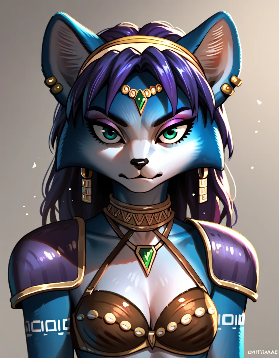 score_9, score_8_up, score_7_up, score_6_up, score_5_up, score_4_up, Krystal swift, violet hair, hair, long hair, purple eyeliner, brown leather bra armor, silver circlet, green gemstone, ear piercing, gritty, dark, rating_questionable
