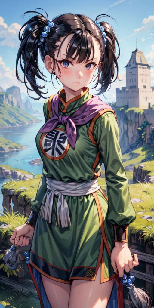 masterpiece, best quality, 4k, 8k, fighter (dq3), 1girl, solo, long hair, twintails, looking at viewer, black hair, hair ornament, long sleeves, dress, medium breasts, closed mouth, cowboy shot, black eyes, chinese clothes, hair bobbles, clenched hand, Punching, Feet Apart, Ancient Castle