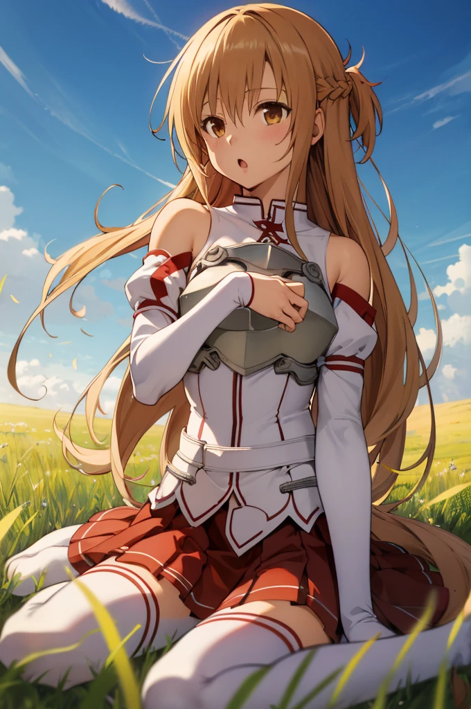 masterpiece, best quality, highres, aaasuna, long hair, brown hair, braid, brown eyes, bare shoulders, armor, breastplate, white sleeves, detached sleeves, red skirt, pleated skirt, white thighhighs, grass, field, wariza, :o