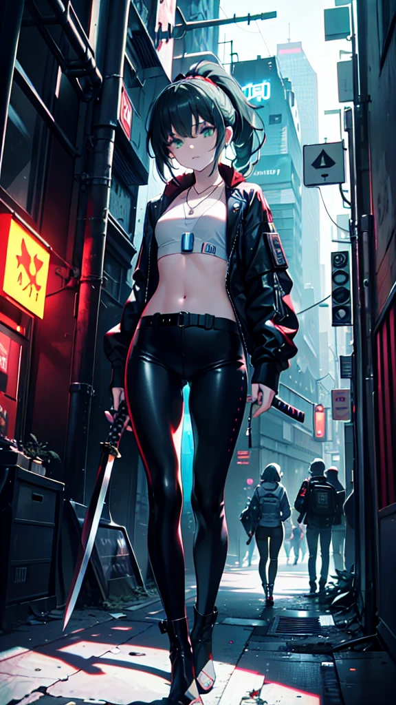 (masterpiece, best quality, 8K, Clear focus, Depth of Field, Best shadow, Perfect lighting, Human Development Report, Realistic skin texture, Ultra detailed background), Anime style, Long angle shot, ((Cyberpunk theme)), Solitary, 1 female, She is a mercenary, (Green Eyes, White skin, Black Hair，Ponytail, Necklace, Small Breasts, Slim, cosmetic, Eyeliner, luster), She is working on a future city in South Korea, Hold the Tech-katana firmly, night, Sky, Waning Moon, Wearing a nice tech jacket and leather pants.