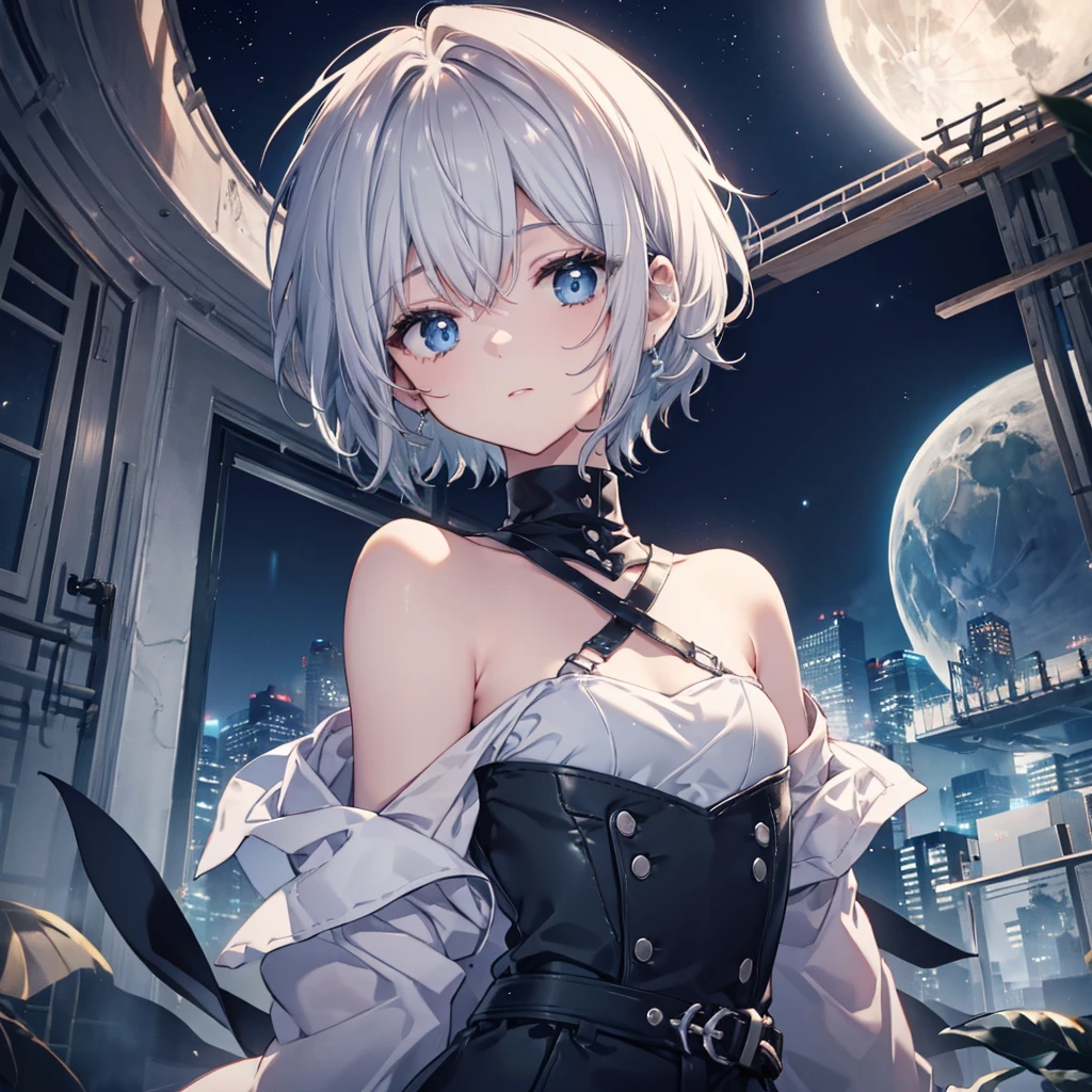 (((1 person)))　((High resolution　Gray Hair　short hair　 shoulder))　((Black Band　Lonely　despair　blue eyes))　　moon　star　Nude