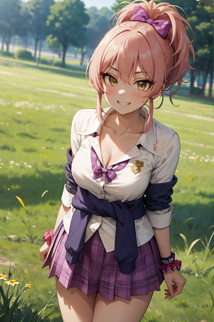 masterpiece, best quality, highres, aamika, ponytail, hair bow, collarbone, , striped, bowtie, collared shirt, white shirt, sleeves rolled up, wrist scrunchie,, clothes around waist, plaid skirt, purple skirt, , field, smile, grass, outdoors,(((Gyaru))),cleavage,lean forward,grin