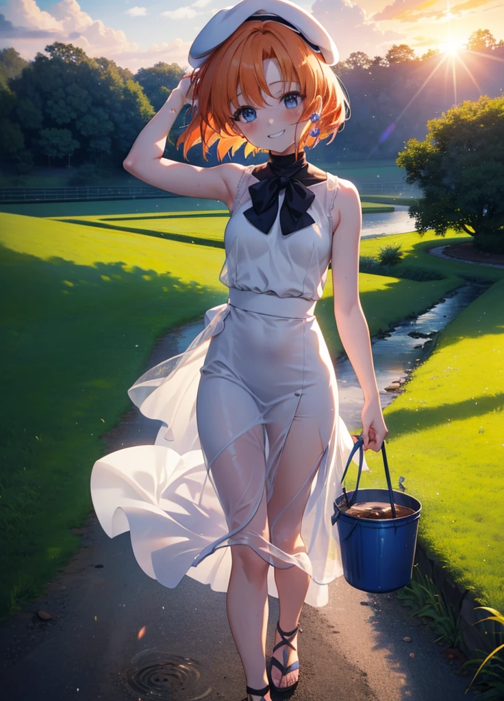 kidney, Rena Ryuuguu, Orange Hair, short hair, blue eyes, smile, blush,Grin,(Small breasts:1.2),beret,Sleeveless dress,Long skirt,Heeled Sandals,morning,morning陽,The sun is rising,Paddy field,Residential Street,Holding a bucket in both hands,walking,whole bodyがイラストに入る,
壊す looking at viewer,whole body,
Destroy outdoors, Destroy the countryside (masterpiece:1.2), Highest quality, High resolution, unity 8k wallpaper, (shape:0.8), (Beautiful attention to detail:1.6), Highly detailed face, Perfect lighting, Extremely detailed CG, (Perfect hands, Perfect Anatomy),