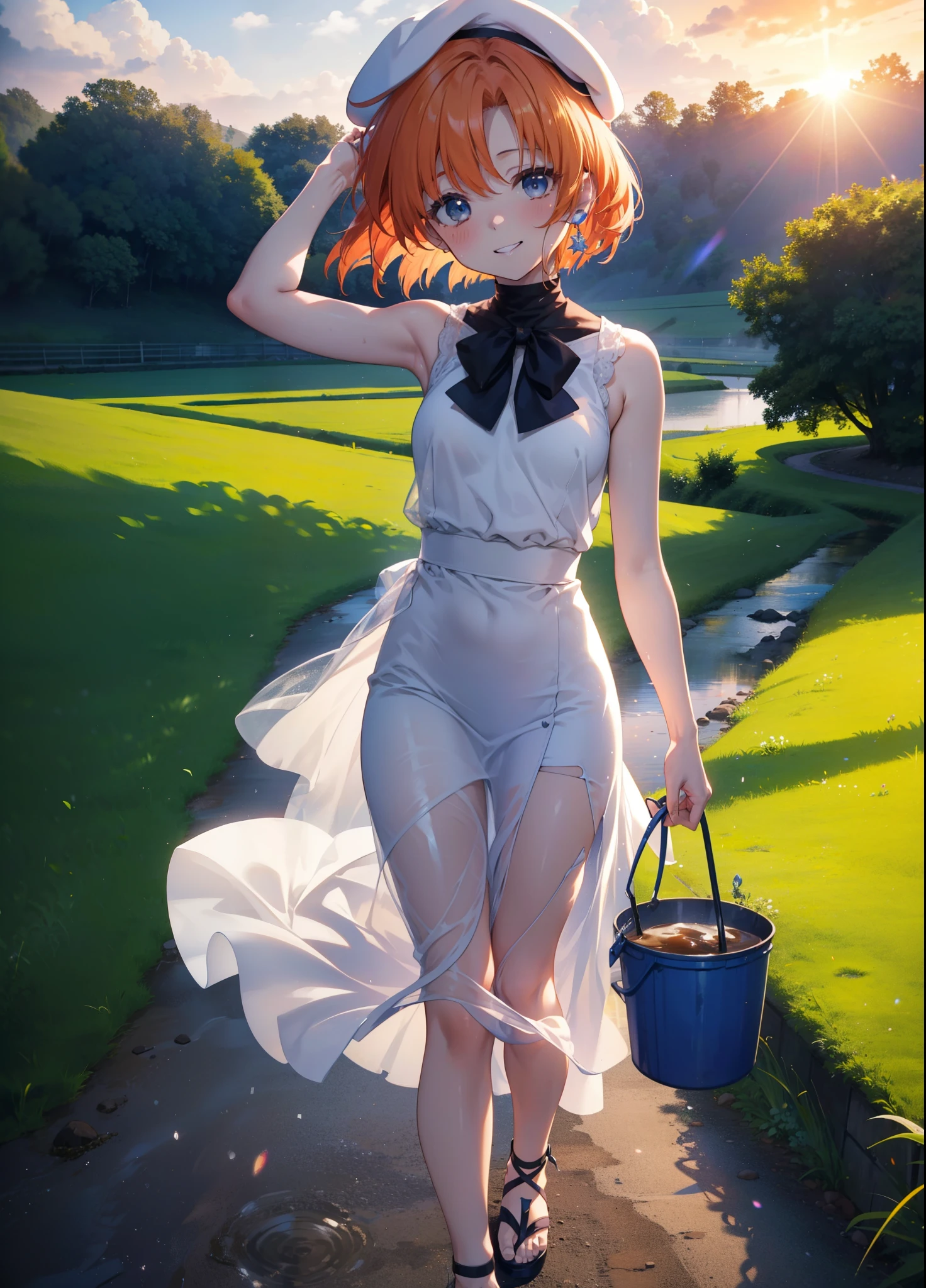 kidney, Rena Ryuuguu, Orange Hair, short hair, blue eyes, smile, blush,Grin,(Small breasts:1.2),beret,Sleeveless dress,Long skirt,Heeled Sandals,morning,morning陽,The sun is rising,Paddy field,Residential Street,Holding a bucket in both hands,walking,whole bodyがイラストに入る,
壊す looking at viewer,whole body,
Destroy outdoors, Destroy the countryside (masterpiece:1.2), Highest quality, High resolution, unity 8k wallpaper, (shape:0.8), (Beautiful attention to detail:1.6), Highly detailed face, Perfect lighting, Extremely detailed CG, (Perfect hands, Perfect Anatomy),