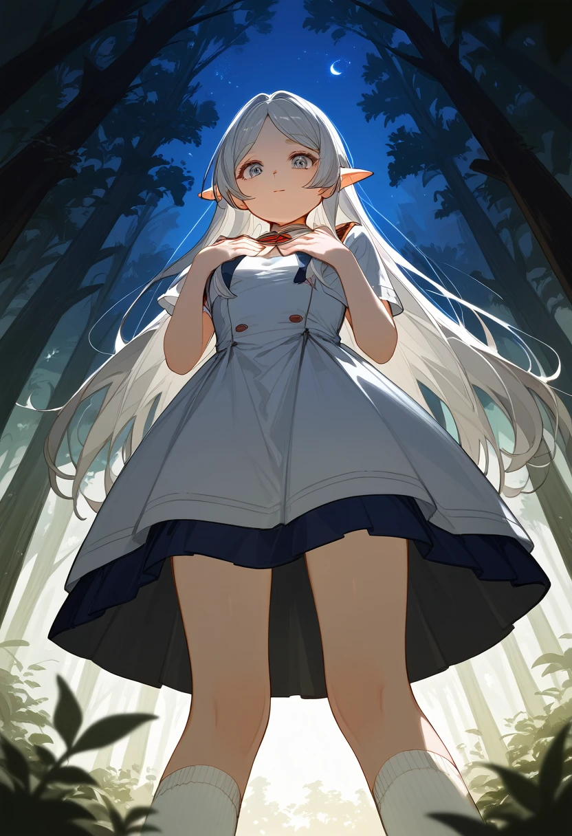 masterpiece, best quality, (Fraction_9, Fraction_8_Direction_7_up), 1 Girl, Solitary,Long hair , White Socks, Looking at the audience, From below, Hands on chest, Delicate hands, Really small body, forest, night, Clear focus, masterpiece, best quality，Underskirt