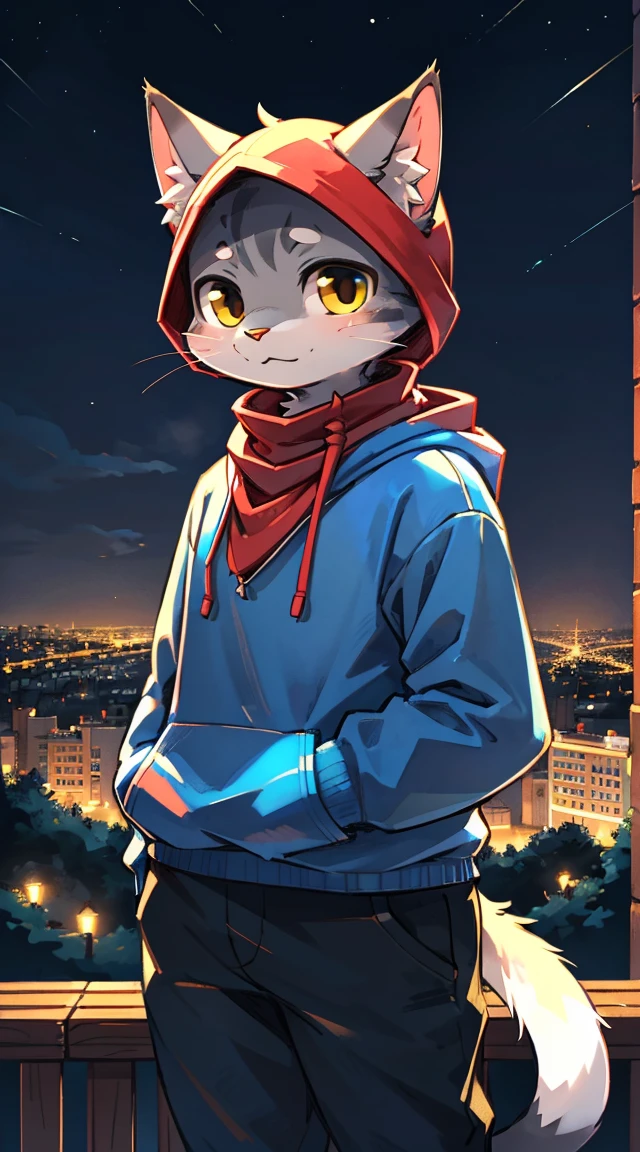 Full Body, Anthropomorphic old cat wearing a blue hoodie, Pants and a red scarf around his neck, Cute Face , Take photos on a hill at night with the city in the distance、Yellow tin around the neck