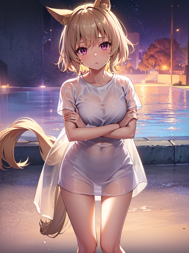 The clothes are wet, (Y-shirt is transparent: 1.4), skirt, (Unbroken body), (Perfect body structure), (arms two), (legs two), highest quality, 4K, (High resolution: 1.3) masterpiece , 1.2, Super detailed, HDR, Studio Lighting, Sharp Focus, Bright colors, Portrait, Warm tones, Soft Lighting,