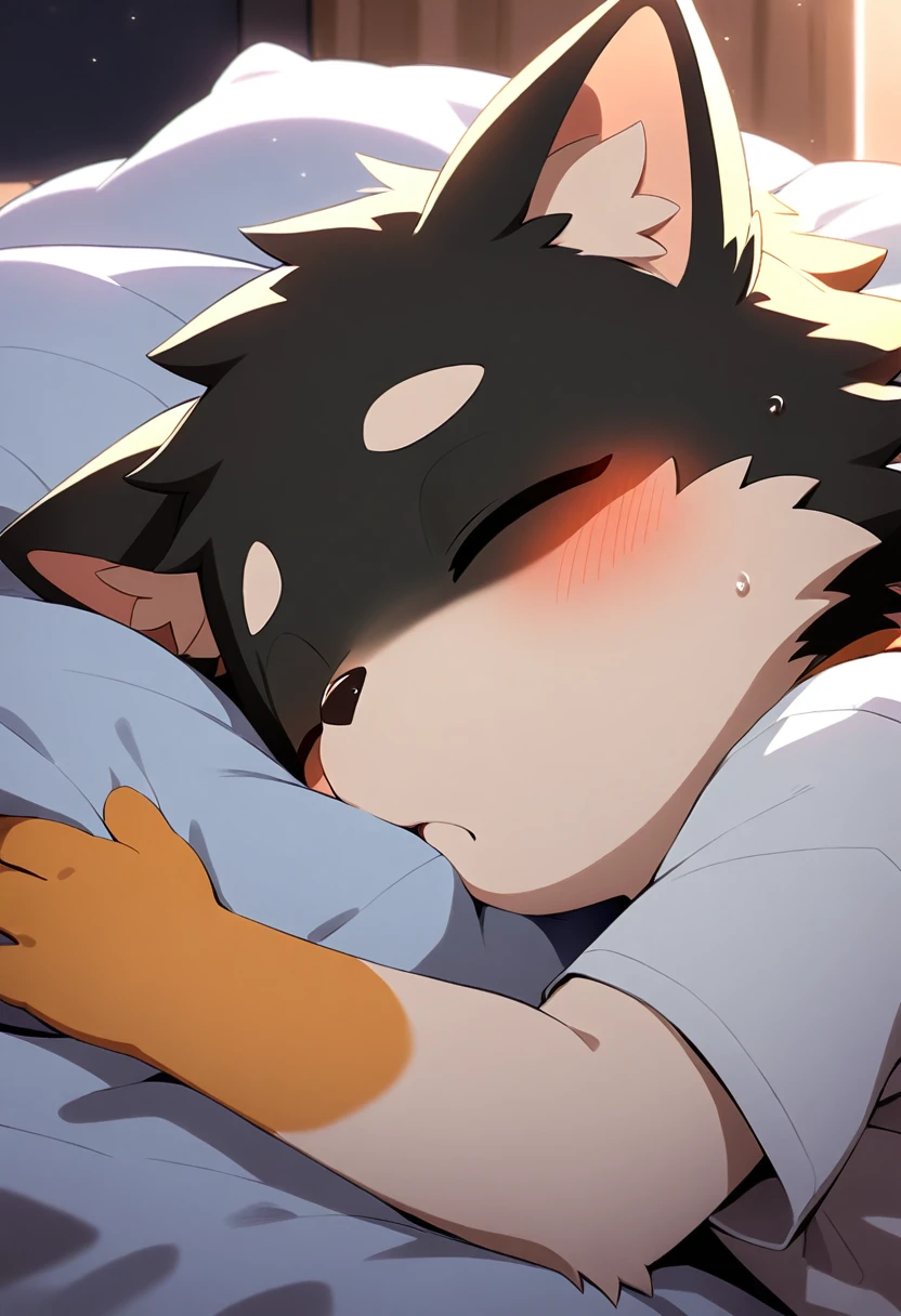 ((((Furry、Shota sucking his sleeping friend&#39;s dick、Intense 、A lot of semen、))))