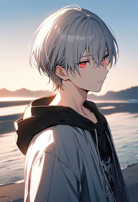 good looking, alone, 1 male, gray hair, red eyes, black shirt, black and white hooded, morning, white light,cute eyes,short hair...