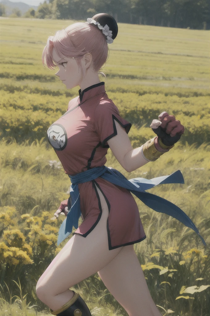 masterpiece, Highest quality, martialMaam, Hair Bun, short hair, China dress, Short sleeve, sash, Fingerless gloves, Combat Stance, From the side, View your viewers, slender,  blue sky, Field, Standing on one leg