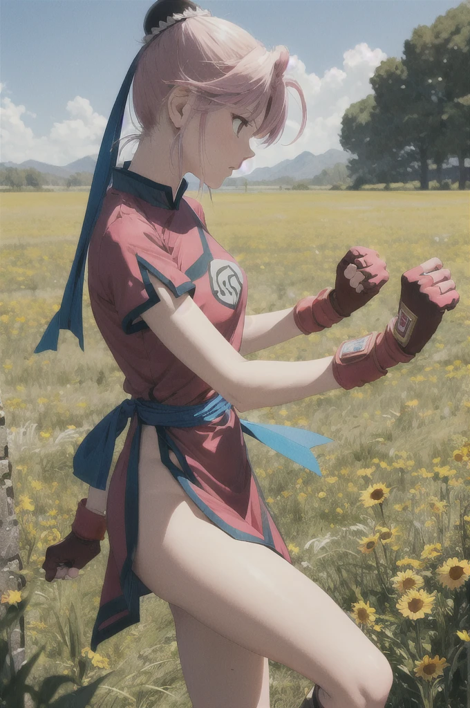 masterpiece, Highest quality, martialMaam, Hair Bun, short hair, China dress, Short sleeve, sash, Fingerless gloves, Combat Stance, From the side, View your viewers, slender, blue sky, Field, Standing on one leg