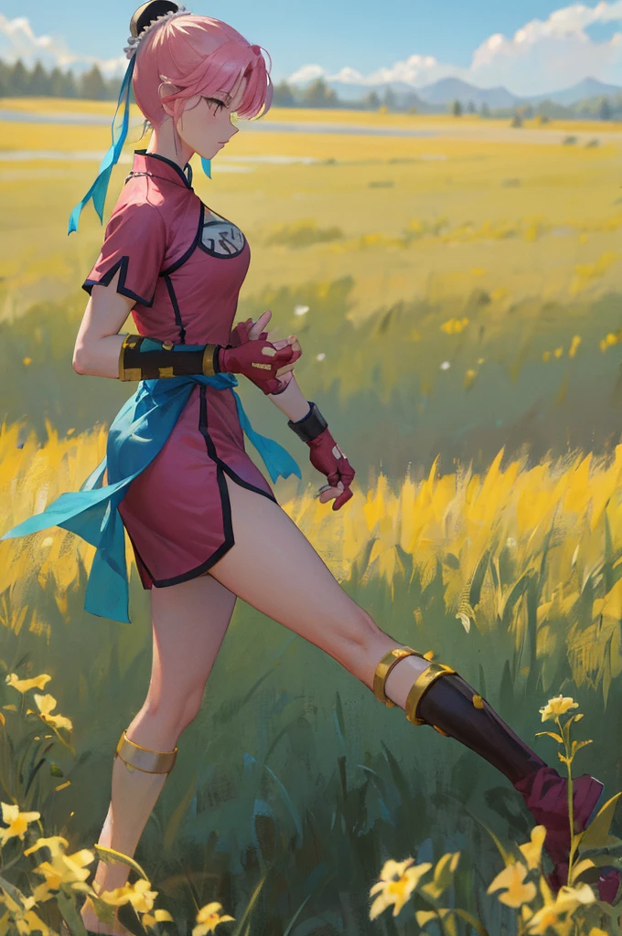 masterpiece, Highest quality, martialMaam, Hair Bun, short hair, China dress, Short sleeve, sash, Fingerless gloves, Combat Stance, From the side, View your viewers, slender, blue sky, Field, Standing on one leg