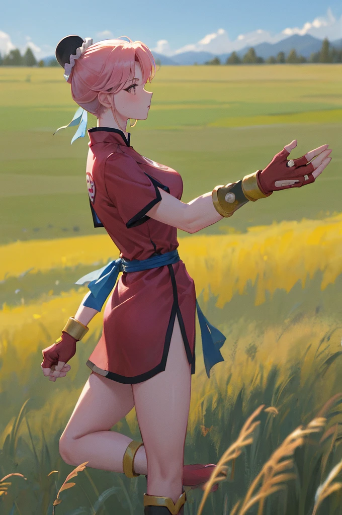 masterpiece, Highest quality, martialMaam, Hair Bun, short hair, China dress, Short sleeve, sash, Fingerless gloves, Combat Stance, From the side, View your viewers, slender, blue sky, Field, Standing on one leg