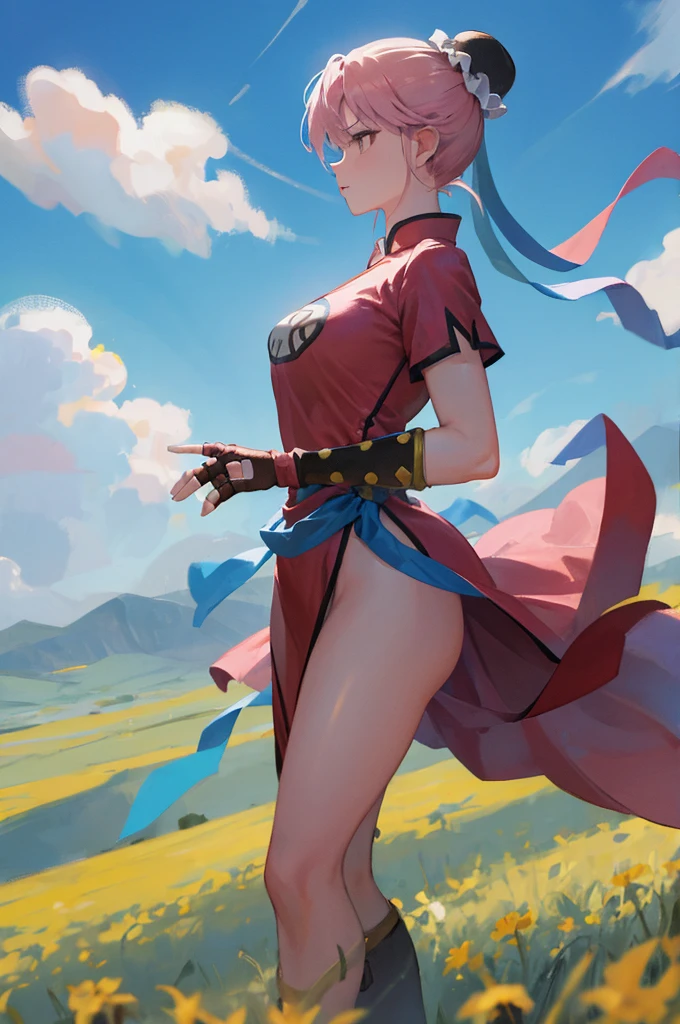 masterpiece, Highest quality, martialMaam, Hair Bun, short hair, China dress, Short sleeve, sash, Fingerless gloves, Combat Stance, From the side, View your viewers, slender, blue sky, Field, Standing on one leg