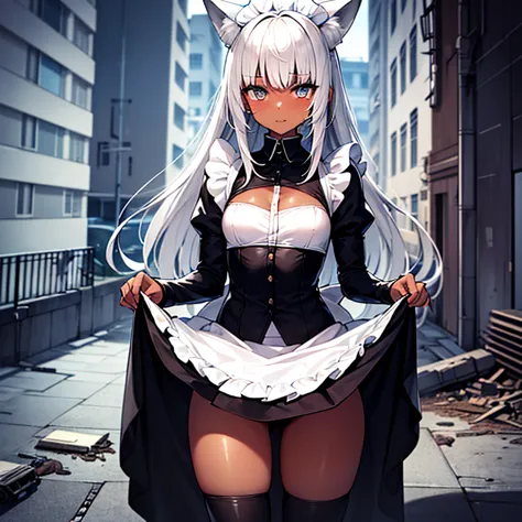 (Fox Girl, Fox Ears, Silver Hair, Fox Makeup, One Girl, Long Hair, Alone on the screen, dark skin, High definition, high resolut...