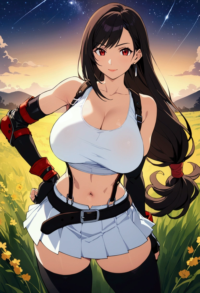 (score_9,score_8_up,score_7_up),BREAK source_anime, masterpiece, best quality, (recent), perfect anatomy, very aesthetic,zentangle,anime style,highres,　mediumshot,Solo,1girl, tifa lockhart, final fantasy,black hair, low-tied long hair, red eyes, bangs, (white tank top,gap),(High exposure，the ribs),lips,,,,(belt, pleated skirt, thighhighs, elbow fingerless gloves, elbow pads, midriff, navel,suspenders.skirt),beautiful waist ,(large_breast:1.3),light smile,,,outdoor,star sky,night, hands on own hip,skin tight, looking at viewer, depth of field　　