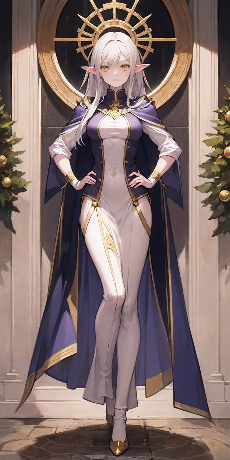 masterpiece, best quality, high quality, elf, long hair, pale hair, yellow eyes, purple skin, deep blue cape with golden ornaments (1solofemale full body standing straight symmetrical, hands on hips) slave with stocks