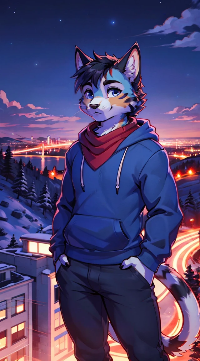 a complete body, Anthropomorphic adult cat wearing a blue hoodie., pants and a red scarf around the neck, beautiful face , posing for a photo on a hill at night with a city in the distance