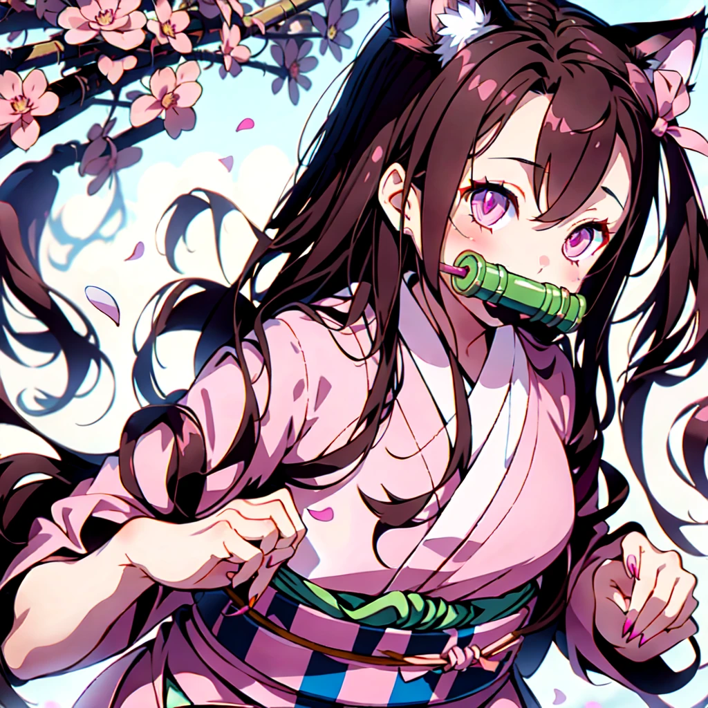 One girl, Animal earsの毛, Animal ears, bamboo, bit gag, blush, Brown Hair, Cat ear, Checkerboard, Checkerboard heart, nailのポーズ, nail, amount, gag, gagged, hair ribbon, kimono, kamado nezuko, kimono, Long Hair, View your viewers, Hold your mouth, Multicolored Hair, heart, petal, Pink Eyes, pink kimono, pink ribbon, ribbon, sash, sharp nail, alone, very Long Hair, Wide sleeves,White background、