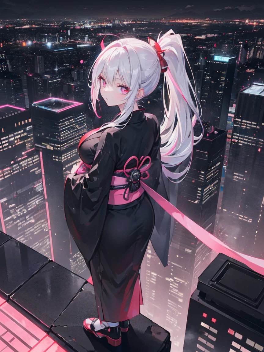 アニメ, (work of art, best qualityer, ultra detali, hight contrast), 1womanl (standing alone, whole body, plus size body, standing on the edge of the skyscraper, silver hair, LONG in a ponytail, Eyes red, perfect eyes ruby sparkles, (simple black long kimono, Black Cybernetics with Neon Pink), black transparent socks), (skyscraper roof, overlooking a city, detailed back ground ((night time, darkness, low light pollution)))