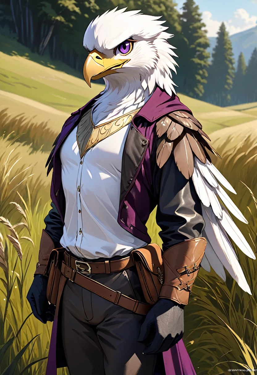 ((solo, three-quarters perspective, masterpiece, chest level shot, standing, (anthro), facing viewer, stoic expression, high resolution, 4K)), male, adult, ((hawk-face, detailed feathers, fully feathered body, extremely detailed, slender build, three-tone feathers, large feathered wings, black and brown and white feathered body)), gold eyes, high contrast, dynamic composition, grassland background, daylight, wispy clouds, ((leather satchel, white medieval shirt, short purple cape))