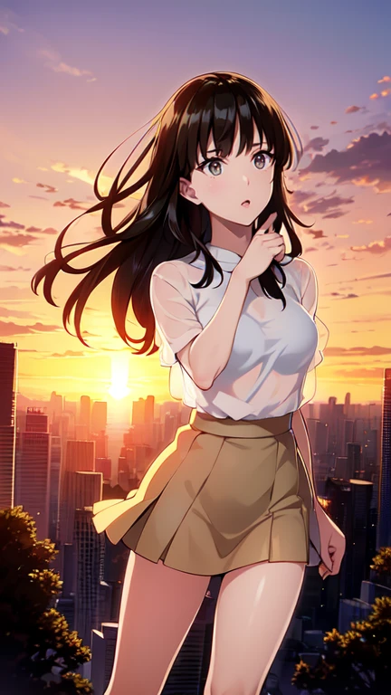 anime、(((Tokyo at sunset)))、One Woman、Long Hair、See-through blouse、Tight Skirt、Hair fluttering in the wind、