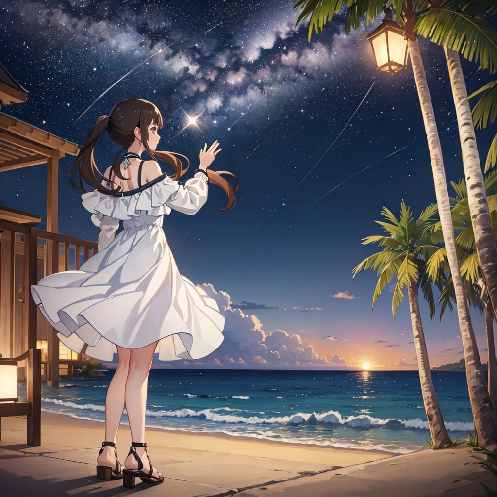 ((Highest quality,masterpiece))8k,Ultra-high resolution,Ultra-high resolution,Super detailed),Looking up at the stars on the beach at night, Okitasawa, 長いlow twintails,White dress,Back view,Sandals