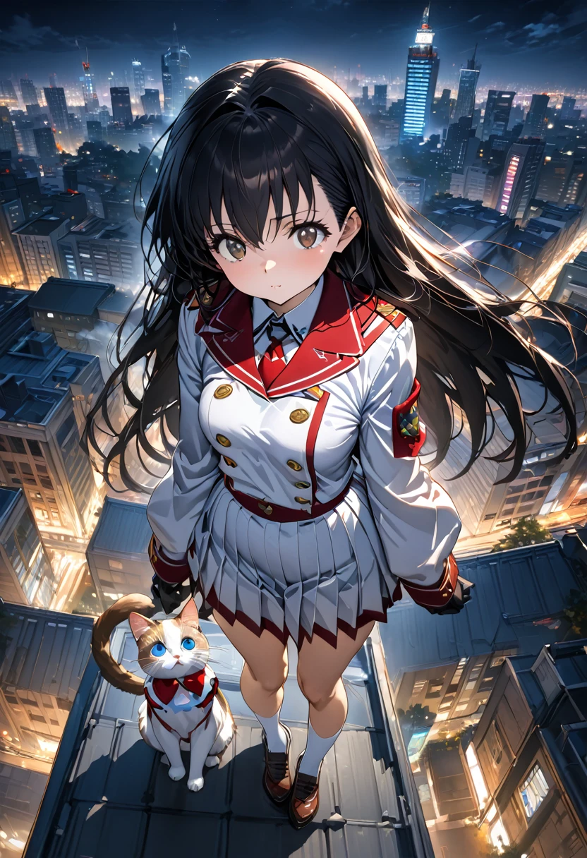 (masterpiece),(Best Quality:1.0), (ultra high resolution:1.0), Detailed illustration, 8k, white girl (with black hair)  wearing uniform, green with white,  She is on the roof of a building looking at the city at night. (Whole body) (full background view), dark brown eyes, long black hair, Next to her is a blue-eyed Ragdoll cat, Kagome Higurashi, 