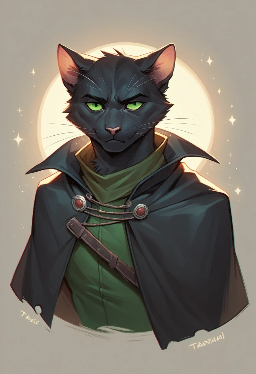 masterpiece, expressive eyes, perfect face, best quality, 1boy, male focus, solo focus, Adult, Tabaxi, Black fur, Cat, Cat tail, Green eyes, Rogue, bloodbourne, black capelet,
