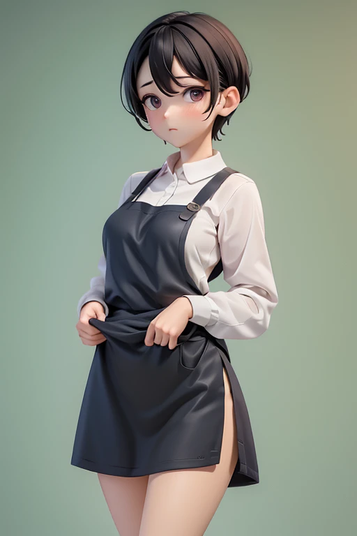 30-year-old woman、Mother,Married women,,Black Hair,Shortcuts、Short Hair、Small breasts、Small breasts、Casual wear、Calm appearance、sweater、shirt、apron、Clothing Pattern、Clothing design、whole body、
