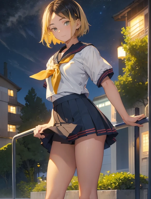 (masterpiece, Highest quality, Highest quality)，16K，very young，，very cute，alone,Baby Face，blonde，Black Hair，variegated hair，Very short stature，Very small ass，Very thin thighs，Bruises and gestures，(Short-sleeved sailor uniform:1.3)，mini skirt，exterior，Night Park，Night Sky,