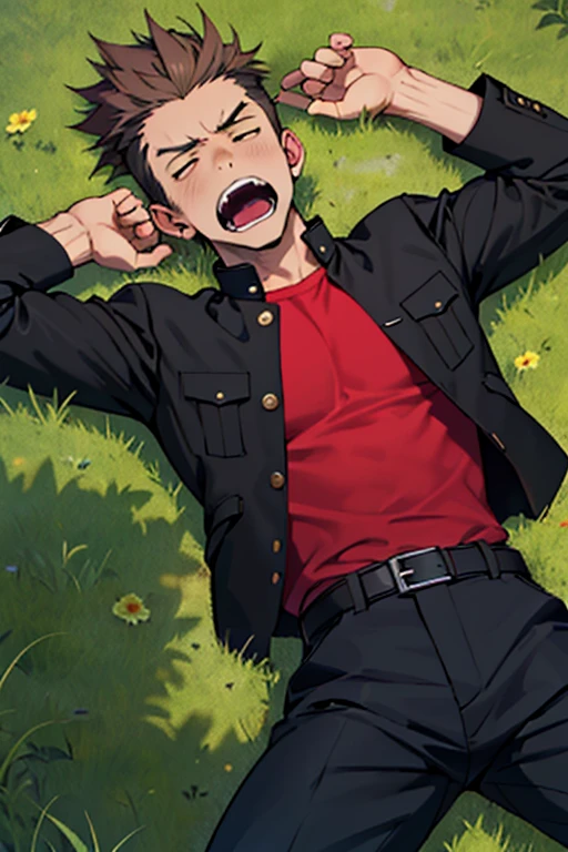 One boy, alone, Iris, Point pupils, Brown Hair, short hair, gakuran, Black jacket,Red Shirt、Black Belt, Black trousers, bad、Riverbank、On the grass、Sleep with your legs apart,　Scream　Upper Body