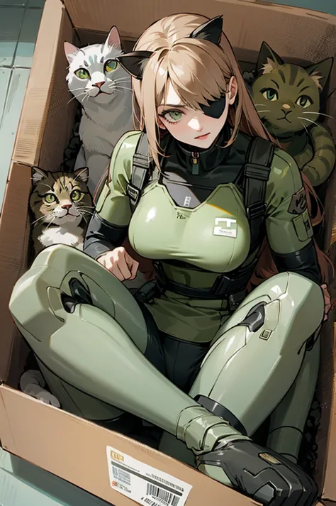 masterpiece,solo, cat dressed like snake from metal gear solid, in_box, with an eye patch