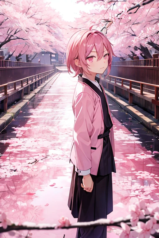 male子　male　Pink Hair　Pink Eyes　Slender　Sad look　Shota　cherry blossoms　cherry blossoms吹雪　To grasp the petals　bridge