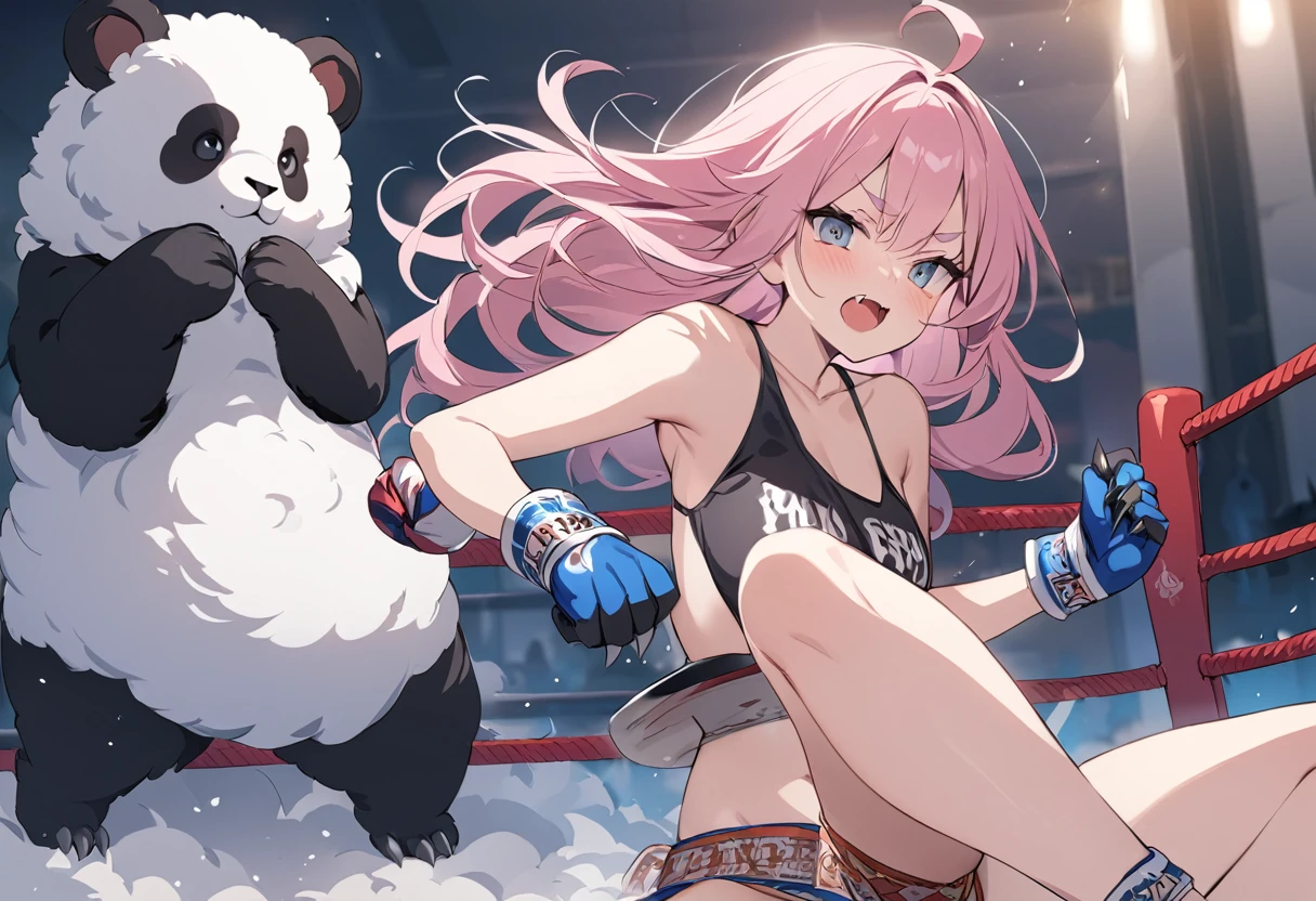 masterpiece, Highest quality, 8k, Vivid, (Muay Thai Fighter, Battle with a panda, Sharp Claws, Fangs are visible) break Little Sheep, young woman, Open your mouth, (Fluffy hair), Long Hair, Hair like sheep's hair, Pink Hair, eyebrow, 太いeyebrow