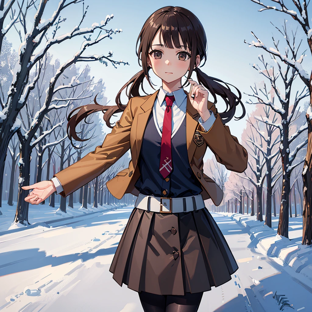 ((Highest quality,masterpiece)),(16K,Ultra-high resolution,Super detailed)1girl, 独奏,okitasawa,Low twintails that reach down to the shoulders,brown jacket, red necktie, yellow sweater vest, blue skirt, pantyhose,Brown coat,Very cold evening in Japanese winter,Give scarves to viewers,red cheek,Highly detailed facial features, Beautiful and perfect face, Perfect Eyes,Miracle best shot,On the snowy way home,Anatomically correct body,Perfect lighting,Perfect Shadow,Exhale white breath