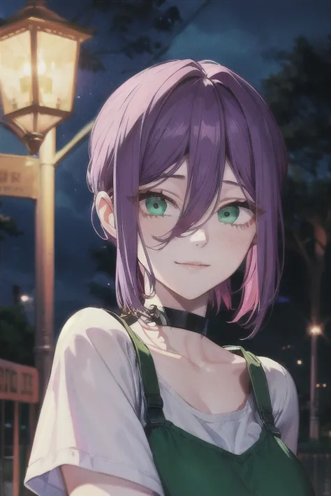 (highest quality)、(highest quality)、cut、chainsaw man、cute、(choker).eyes are emerald、her hair is purple、short bob、beautiful night...