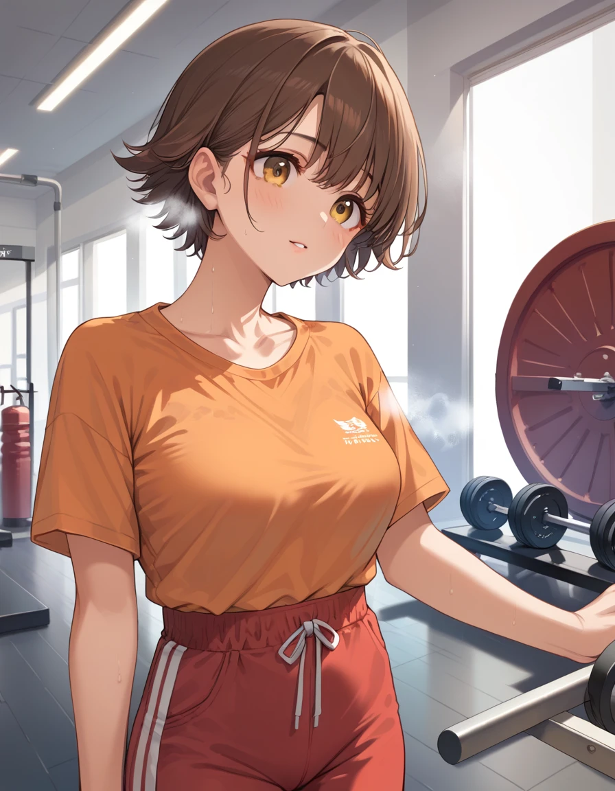 (score_8, score_8_up,masterpiece,highest quality,Perfect Anatomy,Exquisite detailed:1.1)1girl, hndmo,short hair, brown hair, yellow eyes, busty(sagging breasts:0.6)Orange shirt,red pants,steam,gym