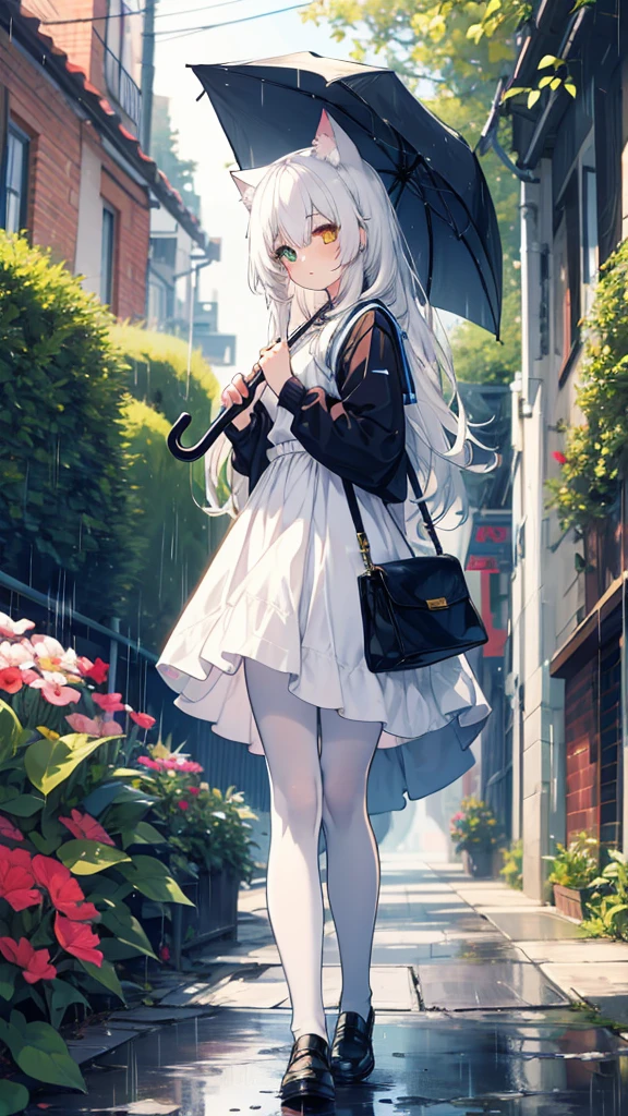 White hair，Long hair，Cat ear，Heterochromia（Left blue and yellow），Campus clothing，White pantyhose，Holding an umbrella，rain，street，garden