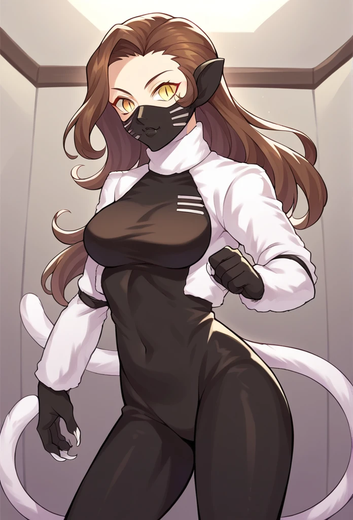 score_9, score_8_up, score_7_up, source_anime BREAK 1girl, solo,
 nekomatasmt, brown hair, long hair, yellow eyes, slit eyes, cat tail, animal ears, claws, face mask, bodysuit, bolero, 
cowboy shot, night club, indoors, dark, dynamic pose, 