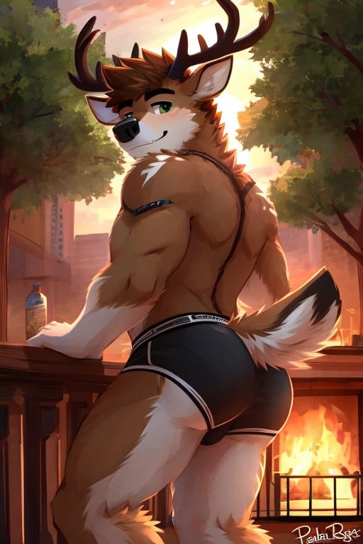 deer, detailed face, detailed body, whole body, 5 fingers, Detailed hands, green eyes, detailed eyes, raising eyebrow, short hair, 2 arms, brown fur, black underwear, wolf tail,((knees)), ((showing butt)), ((briefs)), por pache riggs