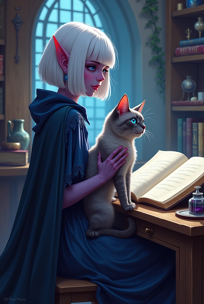 (ultra-detailed face, looking away), (Fantasy Illustration with Gothic & Ukiyo-e & Comic Art), (1 woman, 2 cat), (She has her back turned, a magic book open on her desk in her magic lab, and is holding a cat with both hands), (A young-aged dark elf woman with white hair, blunt bangs, bob cut, and dark purple skin, lavender eyes), BREAK (She is wearing a cape dress with sky blue lace and red sandals), BREAK (A large cat with blue eyes is lying down beside her), BREAK (In the background, we see a shelf where magic books and magic tools are tucked away)