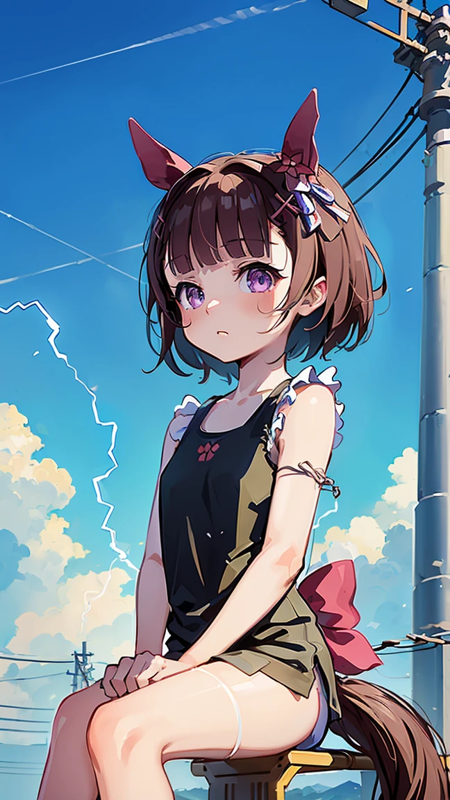 masterpiece, Highest quality, High resolution, Very detailed,(((Nishino Flower))), (((Sitting far away))), (((blue sky))), (((electric wire))), (((Electric pole))), (((barefoot))), (((Tank top)))