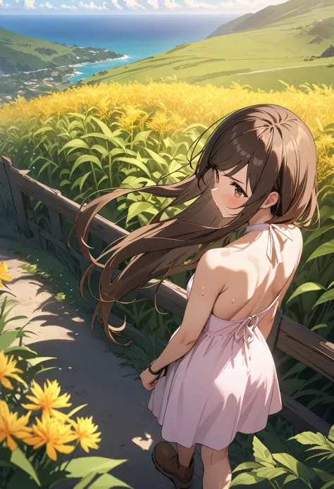 Best quality, masterpiece, from above, from behind, hiking up hill, wooden fence, coast in distance, spaghetti strap halter neck backless pink sundress, brown belt, brown boots, very long hair, brown hair, brown eyes, (((swept bangs))), field, golden weeds, tropical plants, small breasts, toned arms, garden, colorful flowers, sweat, clouds, sun rays, 