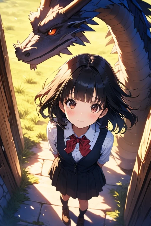 One cute girl, Black Hair, (Straight hair), Bangs on one side, Tilt your head, (Waist), Black cardigan, Checked skirt, Red bow tie, Put your arms behind your back, View your viewers, Smile, Entrance, Outdoor, From above, Teen, (Depth of written boundary), masterpiece, Highest quality, Dragon Quest, grassland
