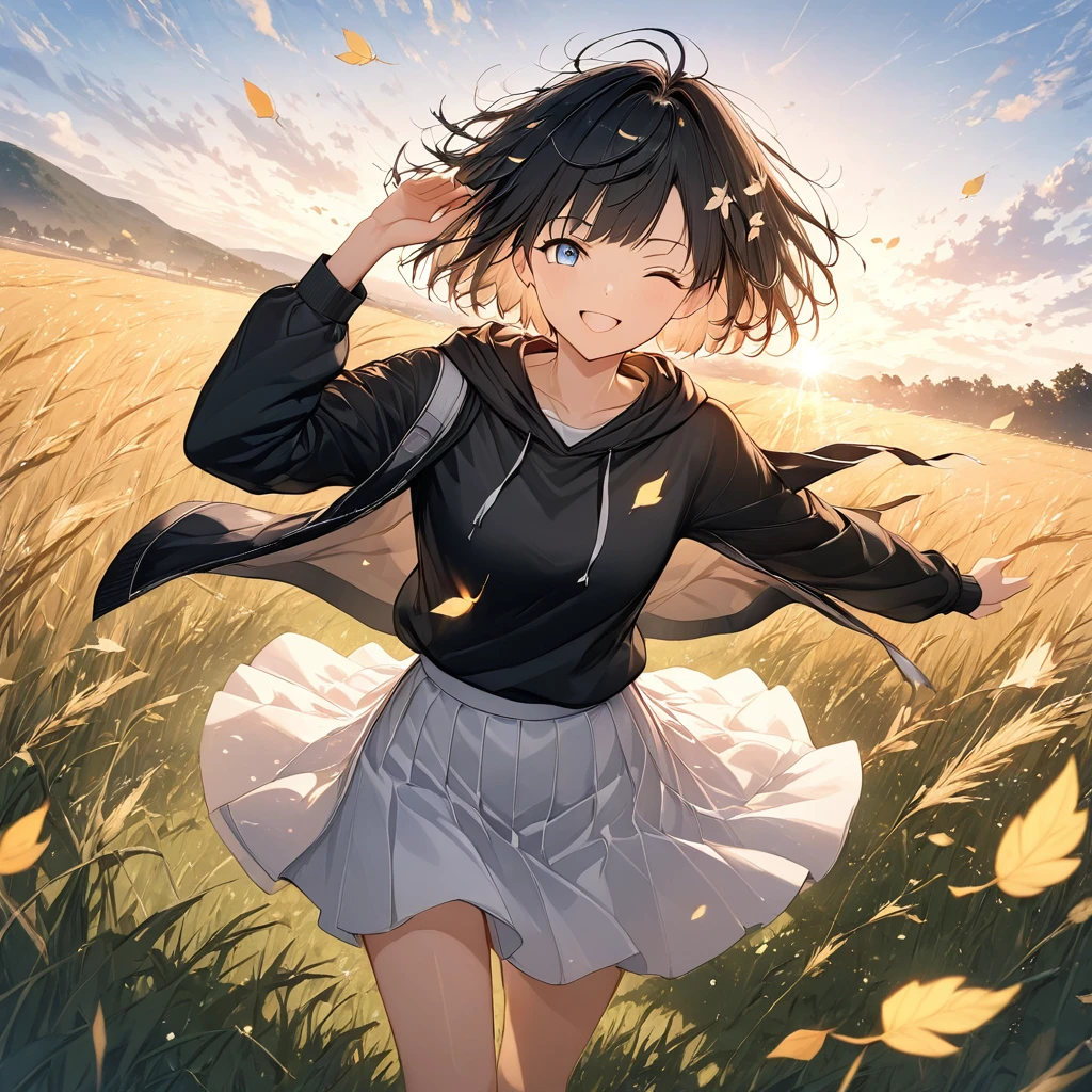 anime、((Amazingly absurd)),(masterpiece:1.2),超High resolution, Attention to detail, high quality, High resolution, 最high quality, 4K, 8k、woman,Guts pose,Kind Face,Black Hair,Short Hair,Blown by strong winds,Flying leaves,blue eyes,(((Wink))),Black hoodie,White Skirt,Black sneakers,Standing in a field,Exposed to the sun,best scene,There is hope,Bathed in light,Angle from a diagonal,View from afar,Try to move away